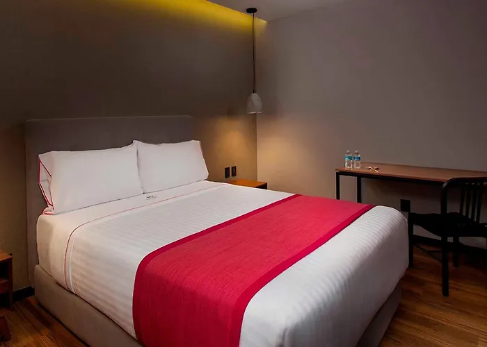 Hotel familiar: Hotel MX más reforma