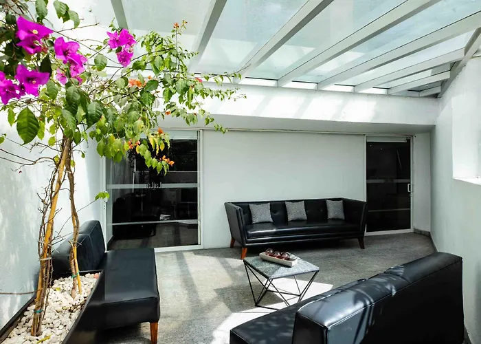 Pets Allowed Hotel Laila Cdmx Reforma